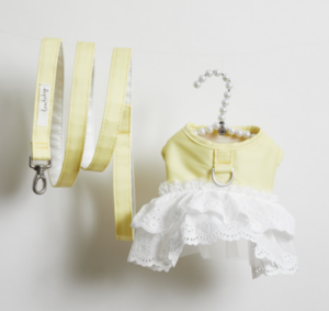 lemonade harness set